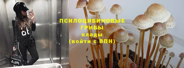 ГАЛЛЮЦИНОГЕННЫЕ ГРИБЫ Абдулино
