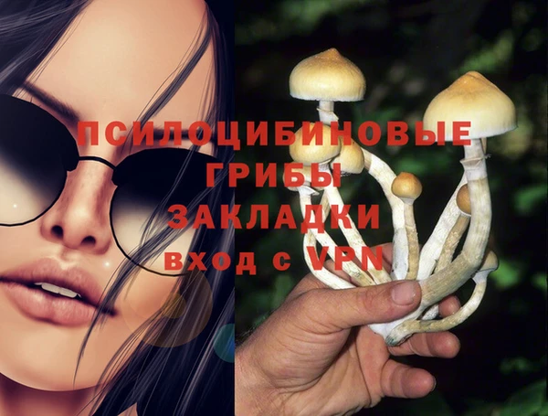 эйфоретик Алексин