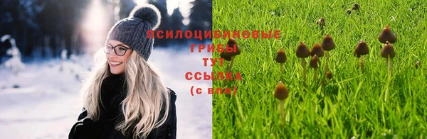 мяу мяу мука Алексеевка