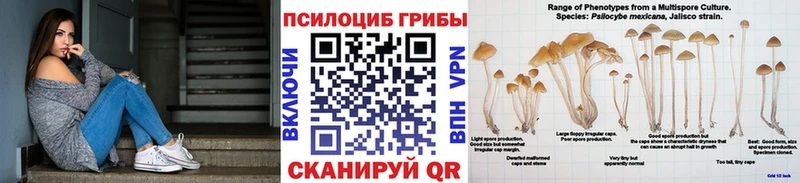 Галлюциногенные грибы Magic Shrooms  Курлово 